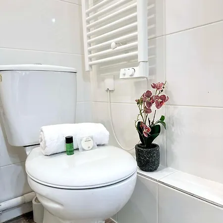 Stylish Studio Steps From Le Marais